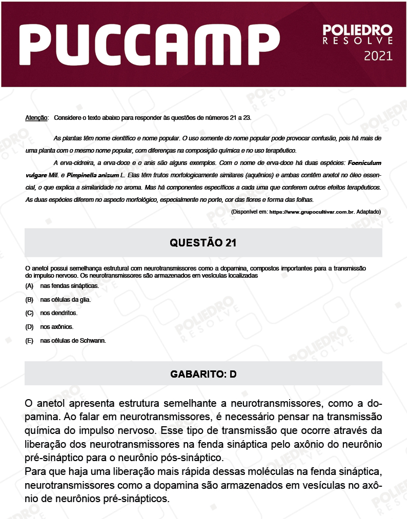 Questão 21 - Demais Cursos - PUC-Campinas 2021