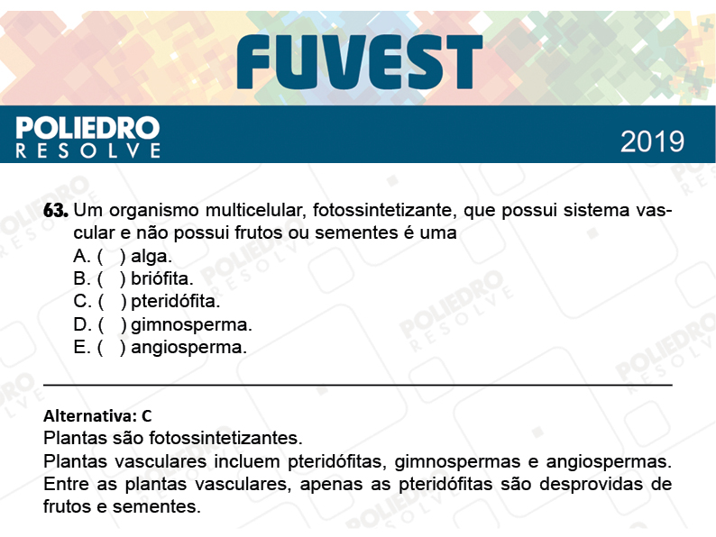 Questão 63 - 1ª Fase - Prova K - FUVEST 2019