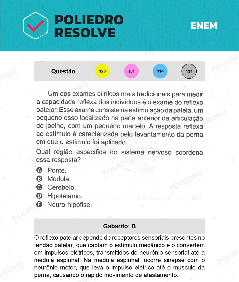 Questão 125 - 2º Dia - Prova Amarela - ENEM 2021