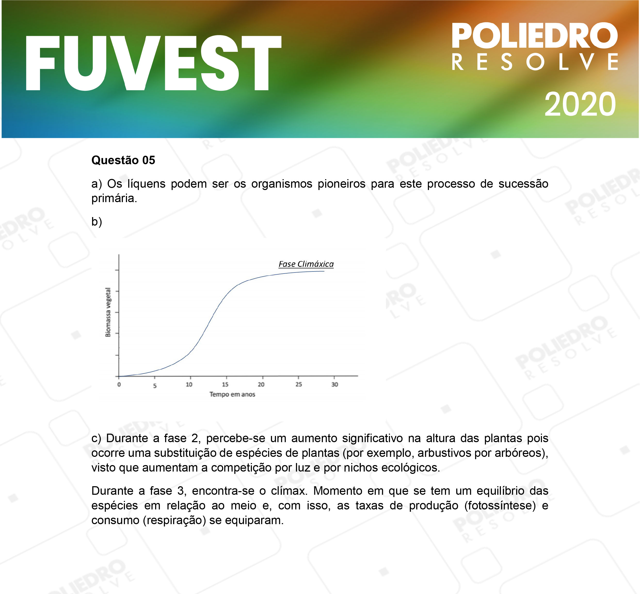 Dissertação 5 - 2ª Fase - 2º Dia - FUVEST 2020