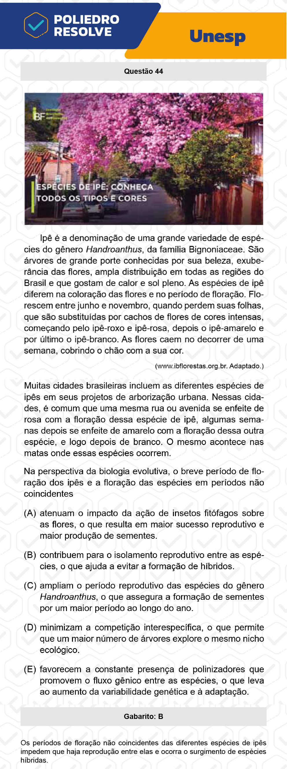 Questão 44 - 2ª Fase - UNESP 2023