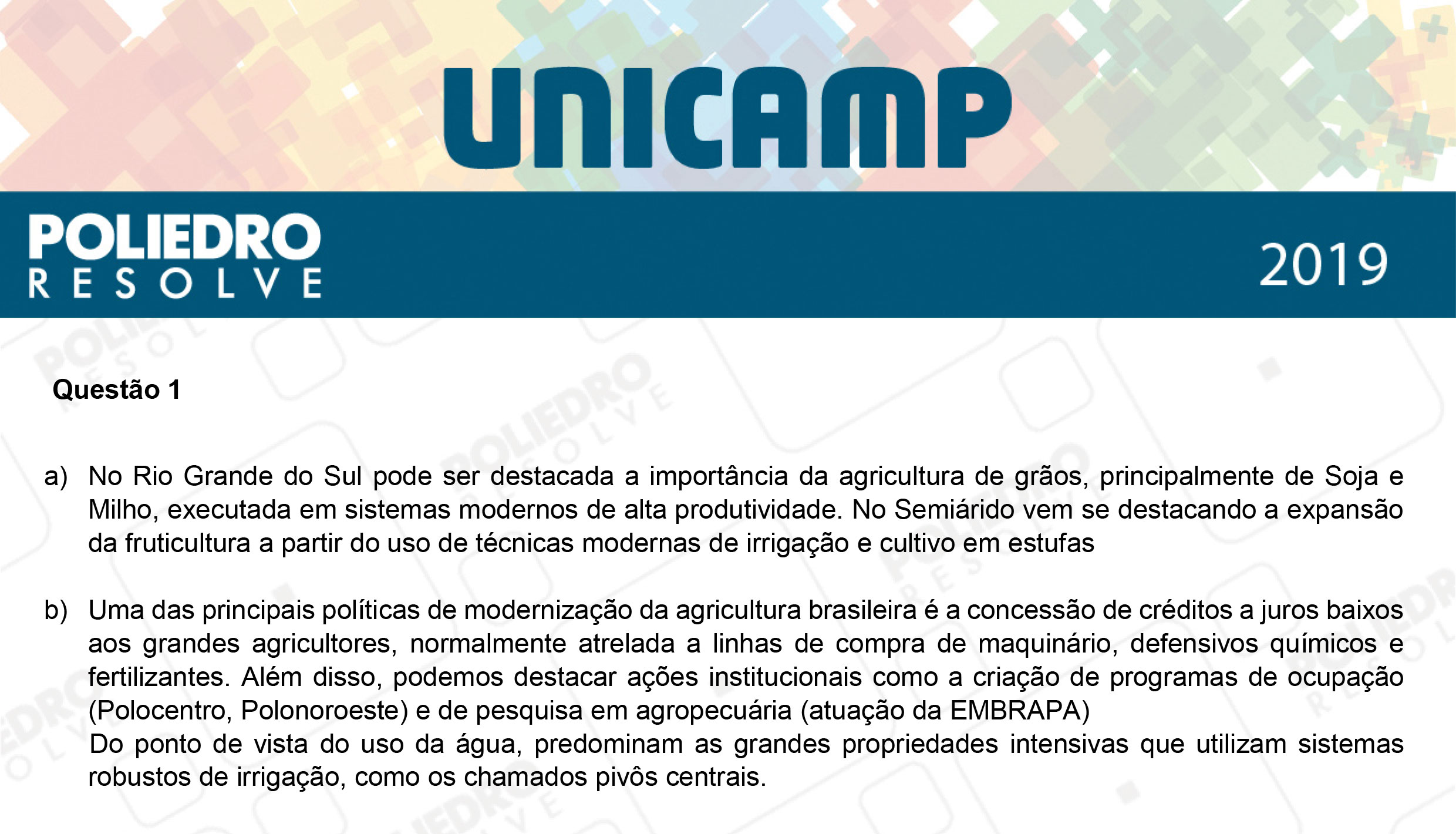 Dissertação 1 - 2ª Fase - 2º Dia - UNICAMP 2019