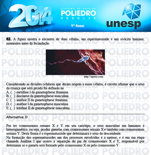 Questão 62 - 1ª Fase - UNESP 2014