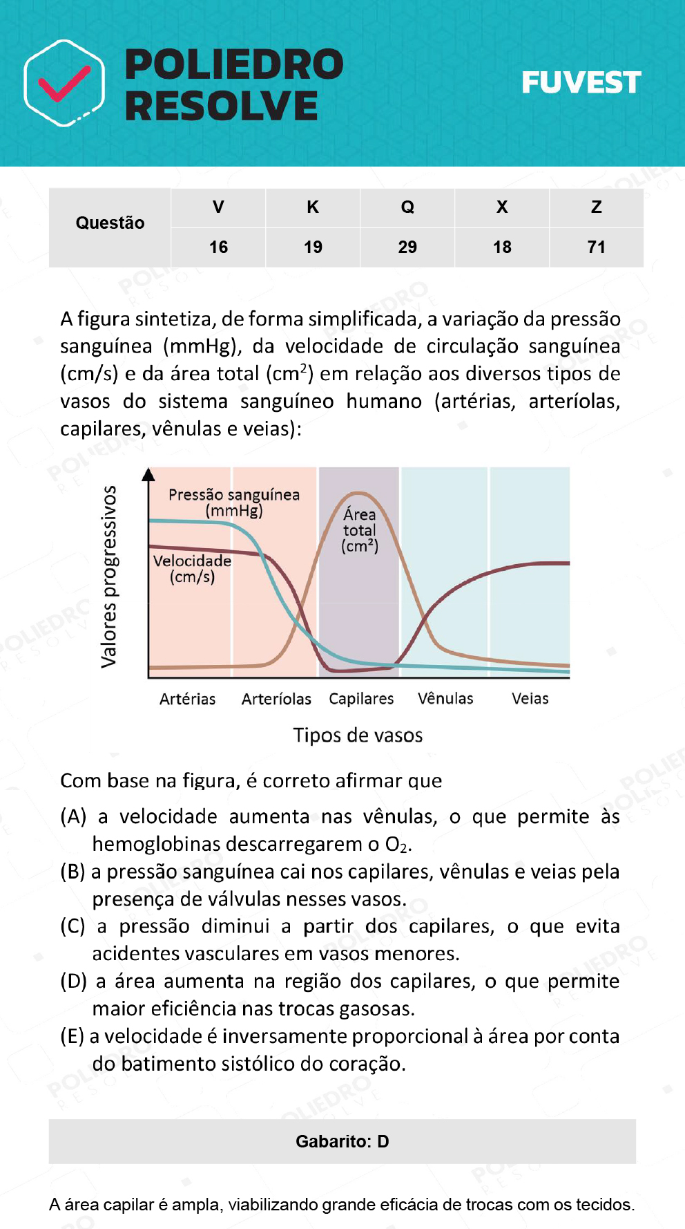 Questão 16 - 1ª Fase - Prova V - 12/12/21 - FUVEST 2022