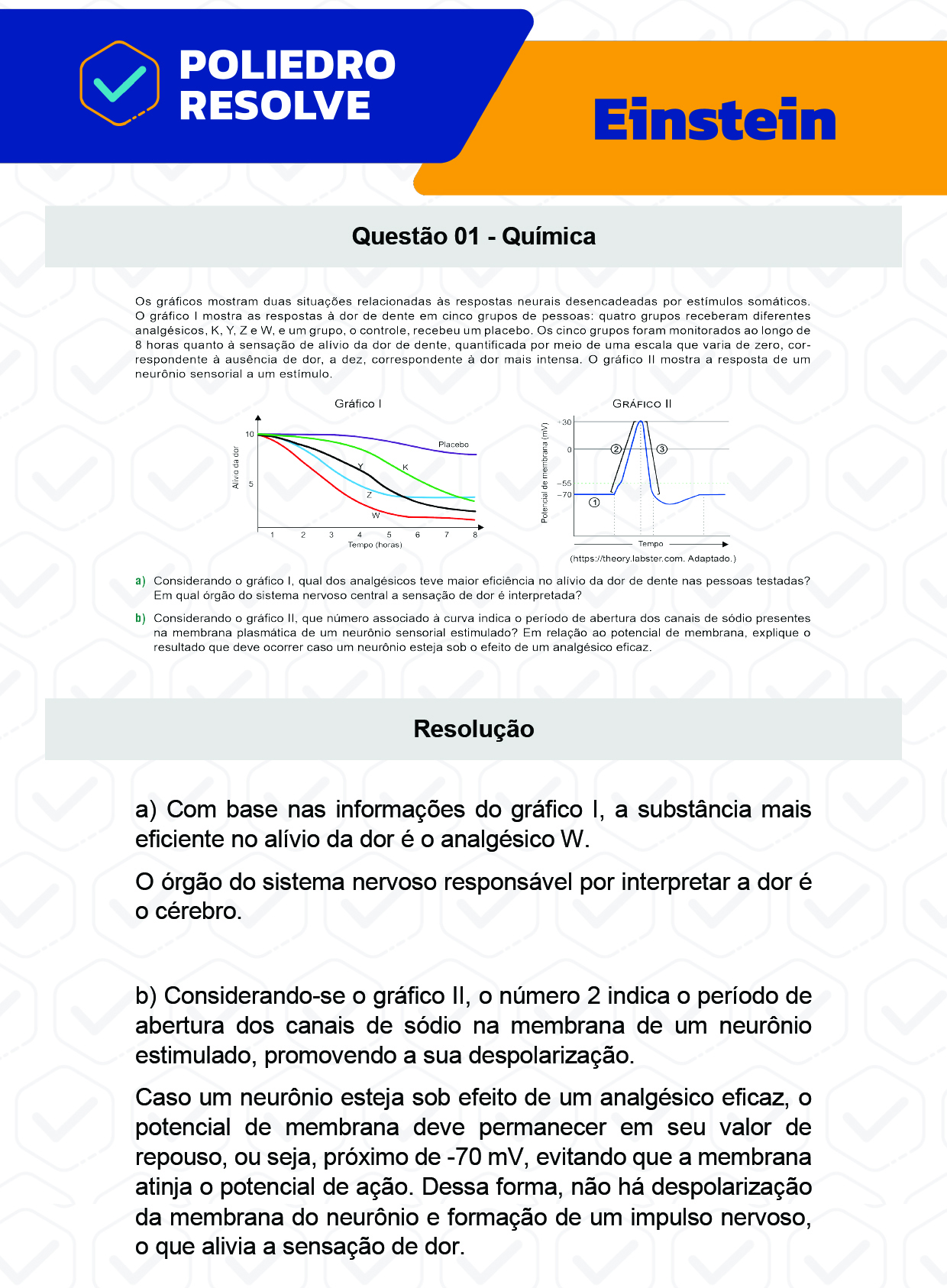 Dissertação 1 - Fase única - EINSTEIN 2023