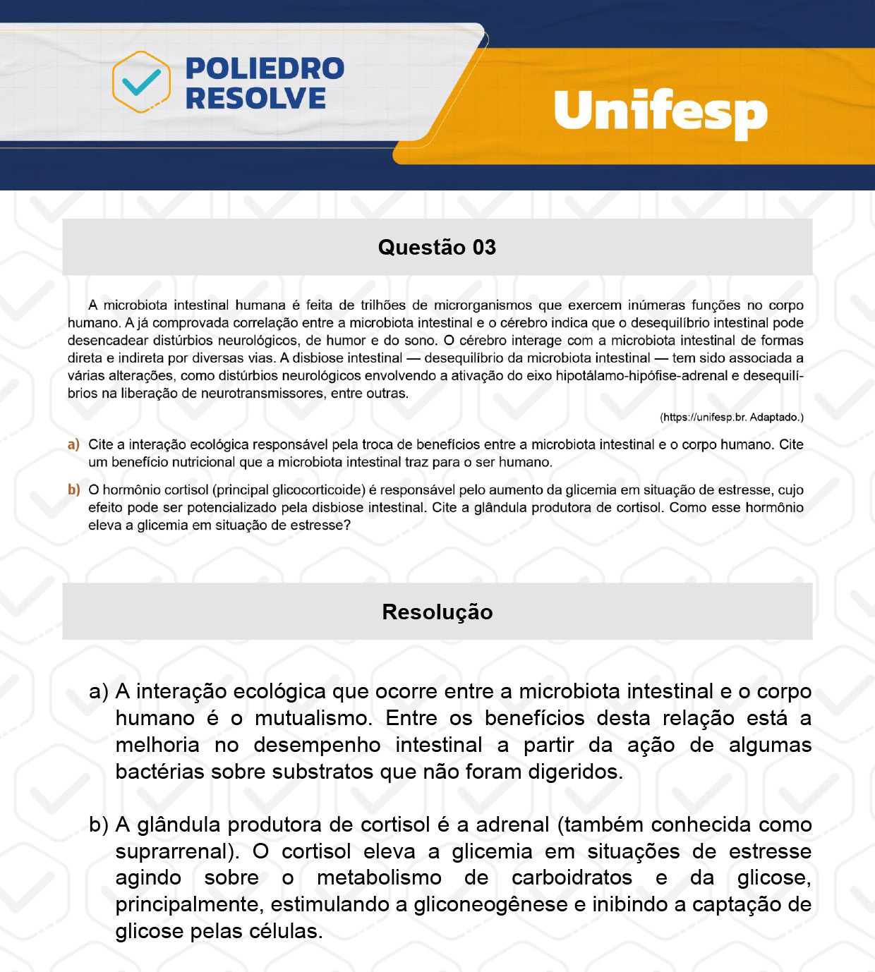 Dissertação 3 - 2º Dia - UNIFESP 2024