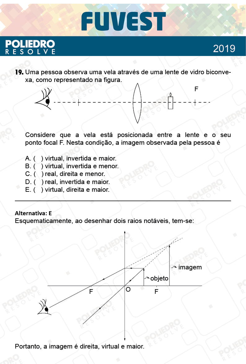 Questão 19 - 1ª Fase - Prova V - FUVEST 2019