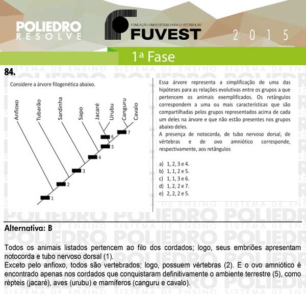 Questão 84 - 1ª Fase - FUVEST 2015