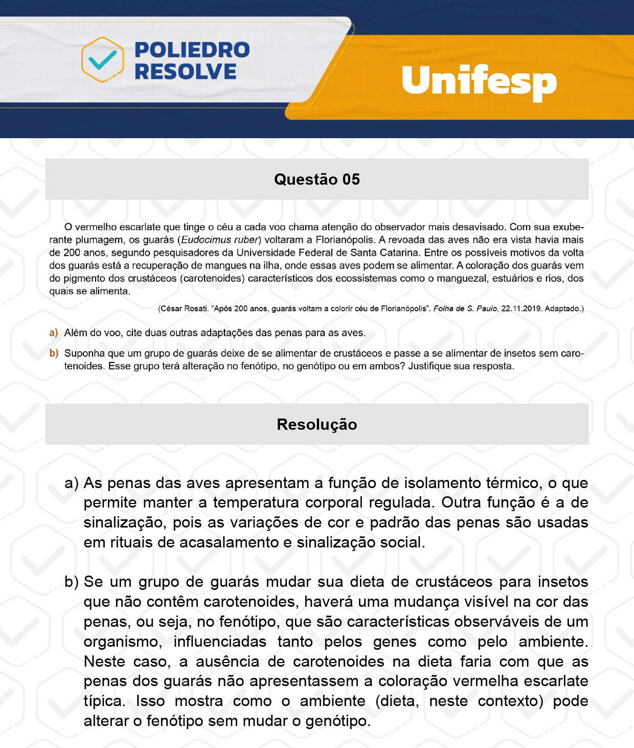 Dissertação 5 - 2º Dia - Reaplicação - UNIFESP 2024