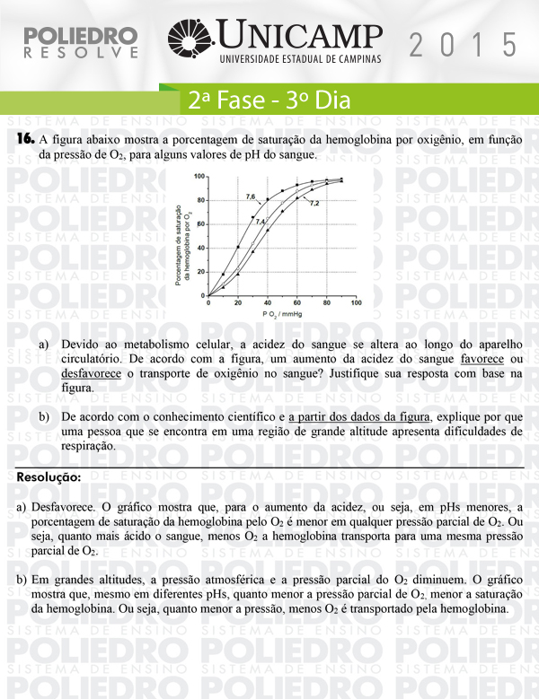 Dissertação 16 - 2ª Fase 3º Dia - UNICAMP 2015