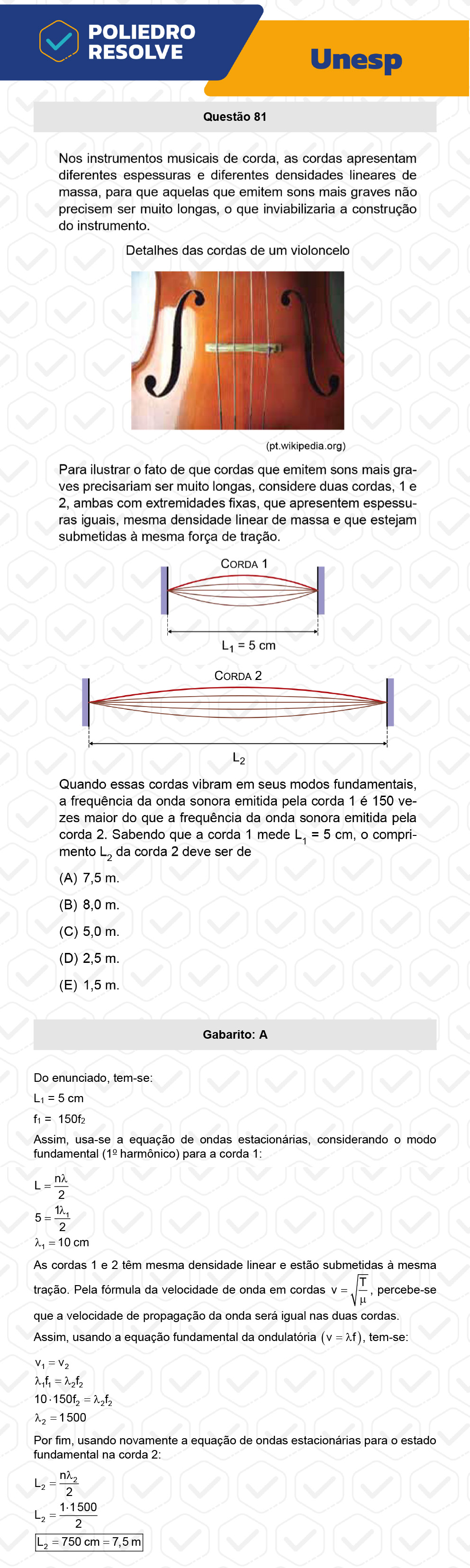 Questão 81 - 1ª Fase - UNESP 2023