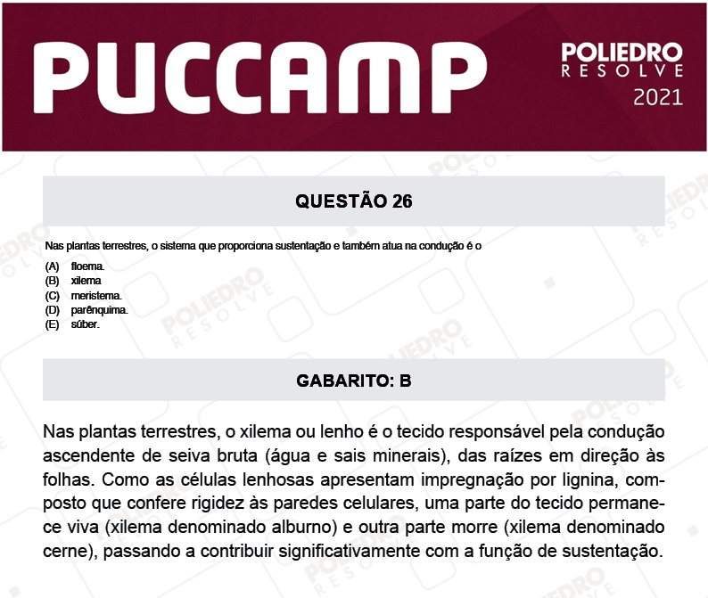 Questão 26 - Direito - PUC-Campinas 2021