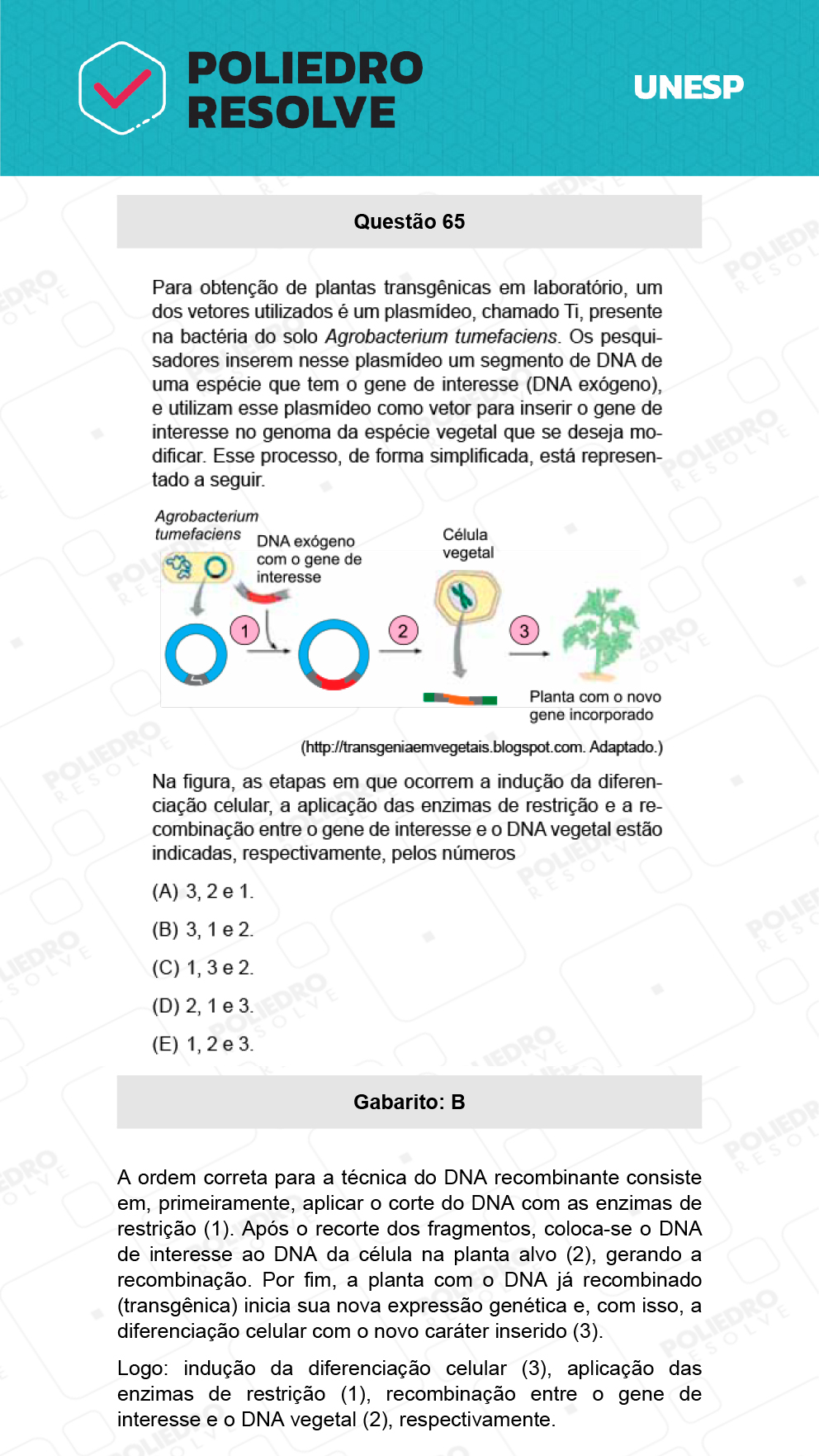 Questão 65 - 1ª Fase - Biológicas - UNESP 2022