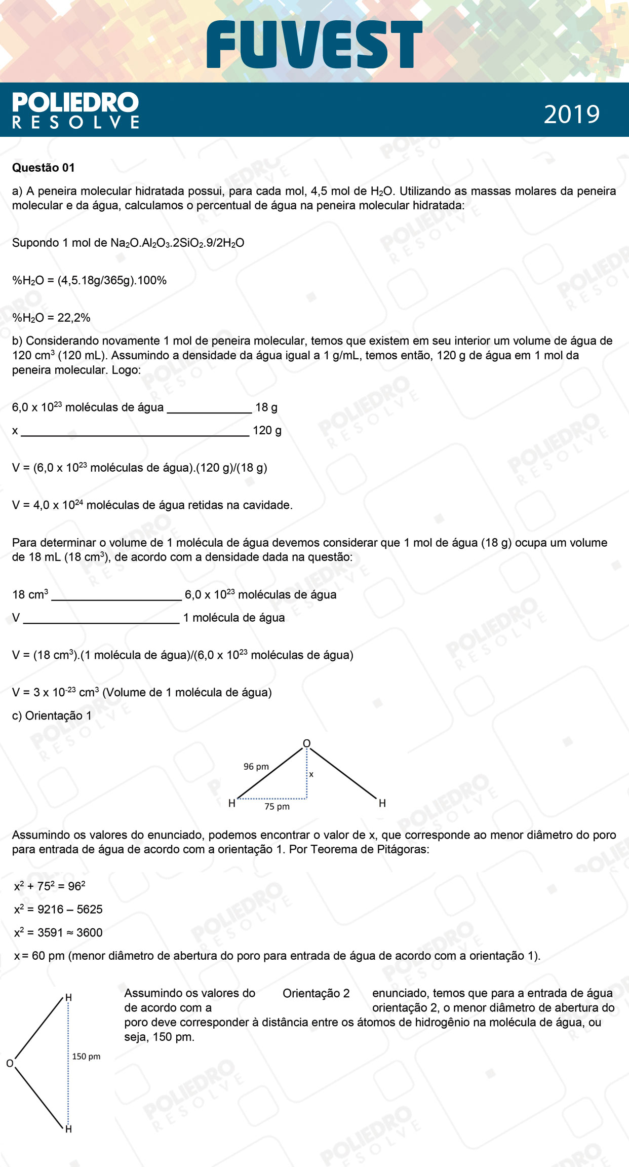 Dissertação 1 - 2ª Fase - 2º Dia - FUVEST 2019