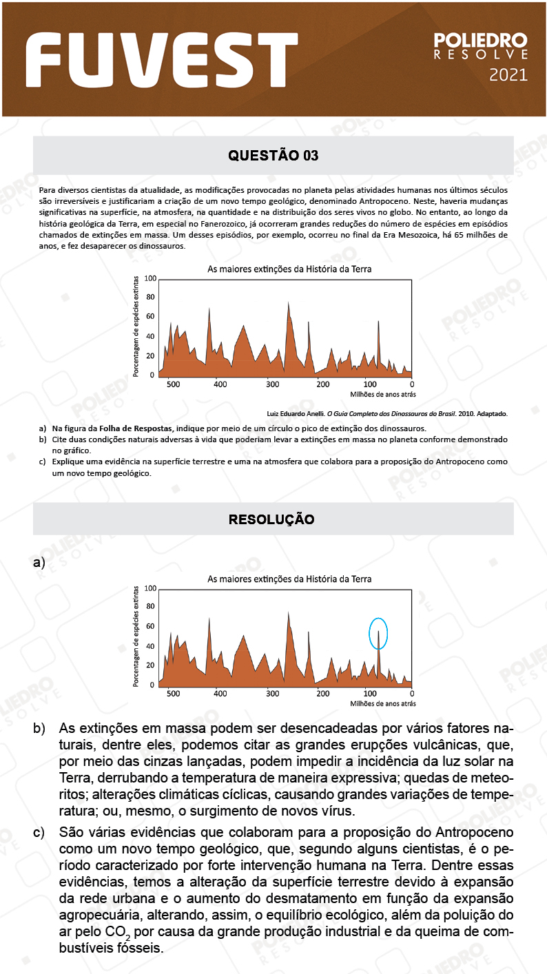 Dissertação 3 - 2ª Fase - 2º Dia - FUVEST 2021