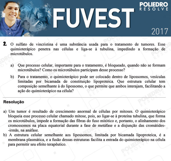 Dissertação 2 - 2ª Fase - 3º Dia - FUVEST 2017