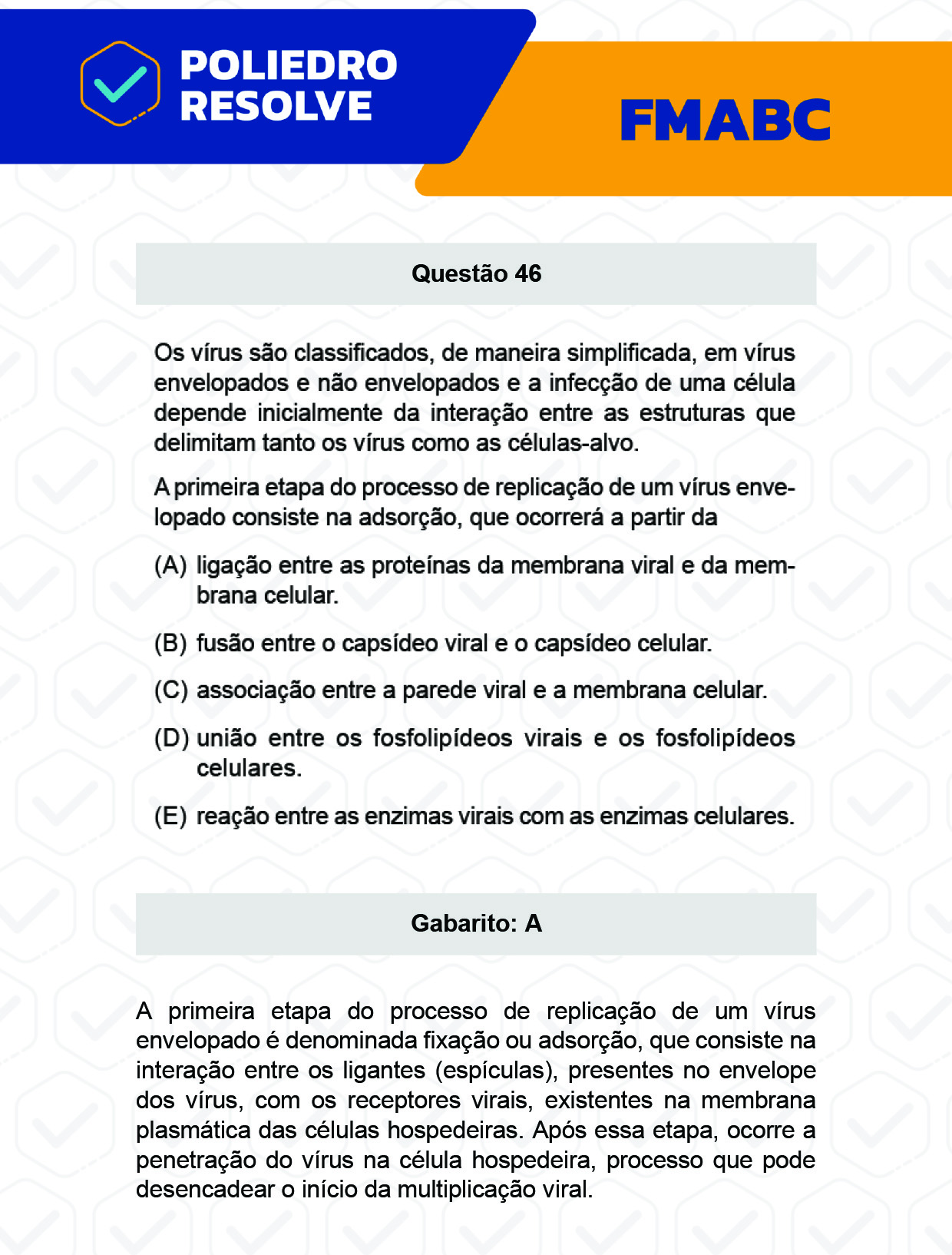 Questão 46 - Fase única - FMABC 2023