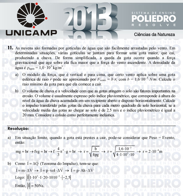 Dissertação 11 - 2ª Fase - UNICAMP 2013