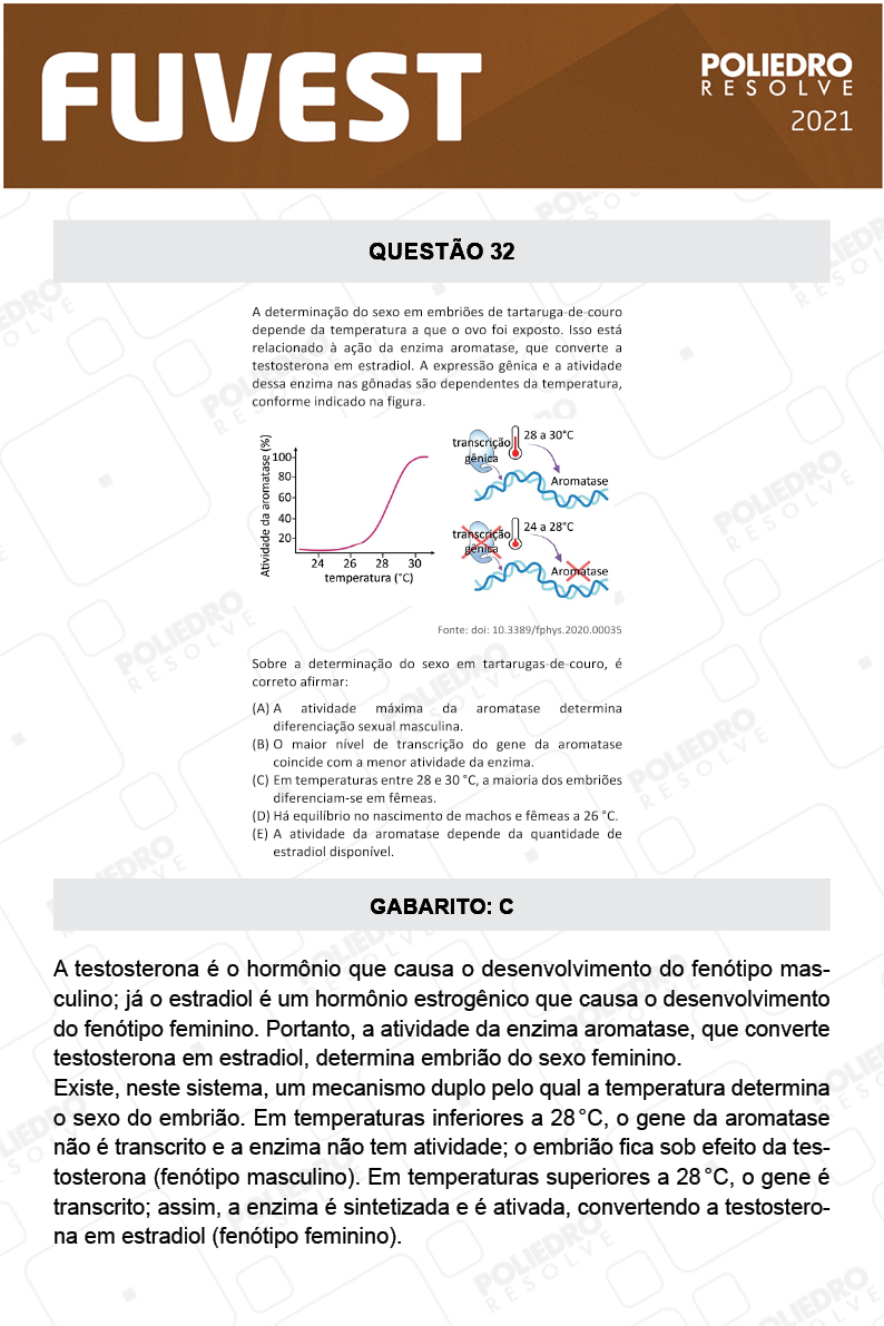 Questão 32 - 1ª Fase - FUVEST 2021