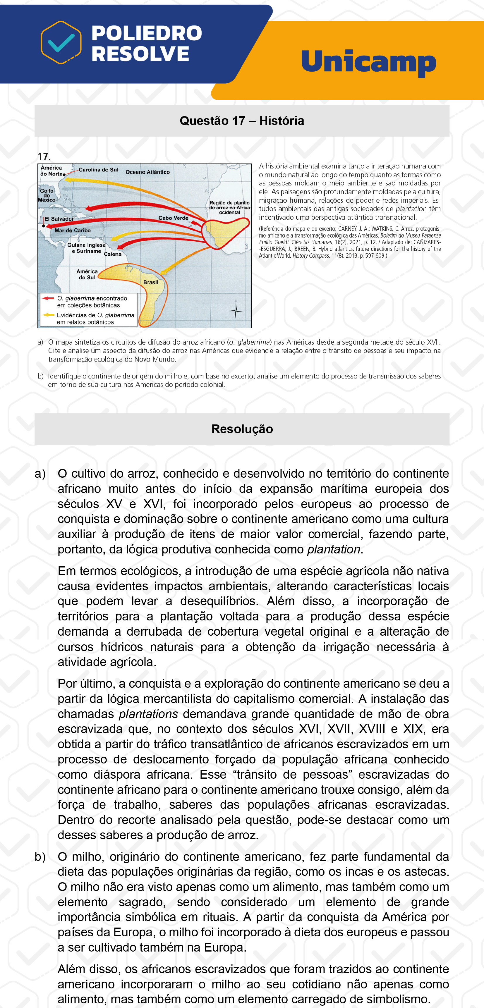 Dissertação 17 - 2ª Fase - 2º Dia - UNICAMP 2023