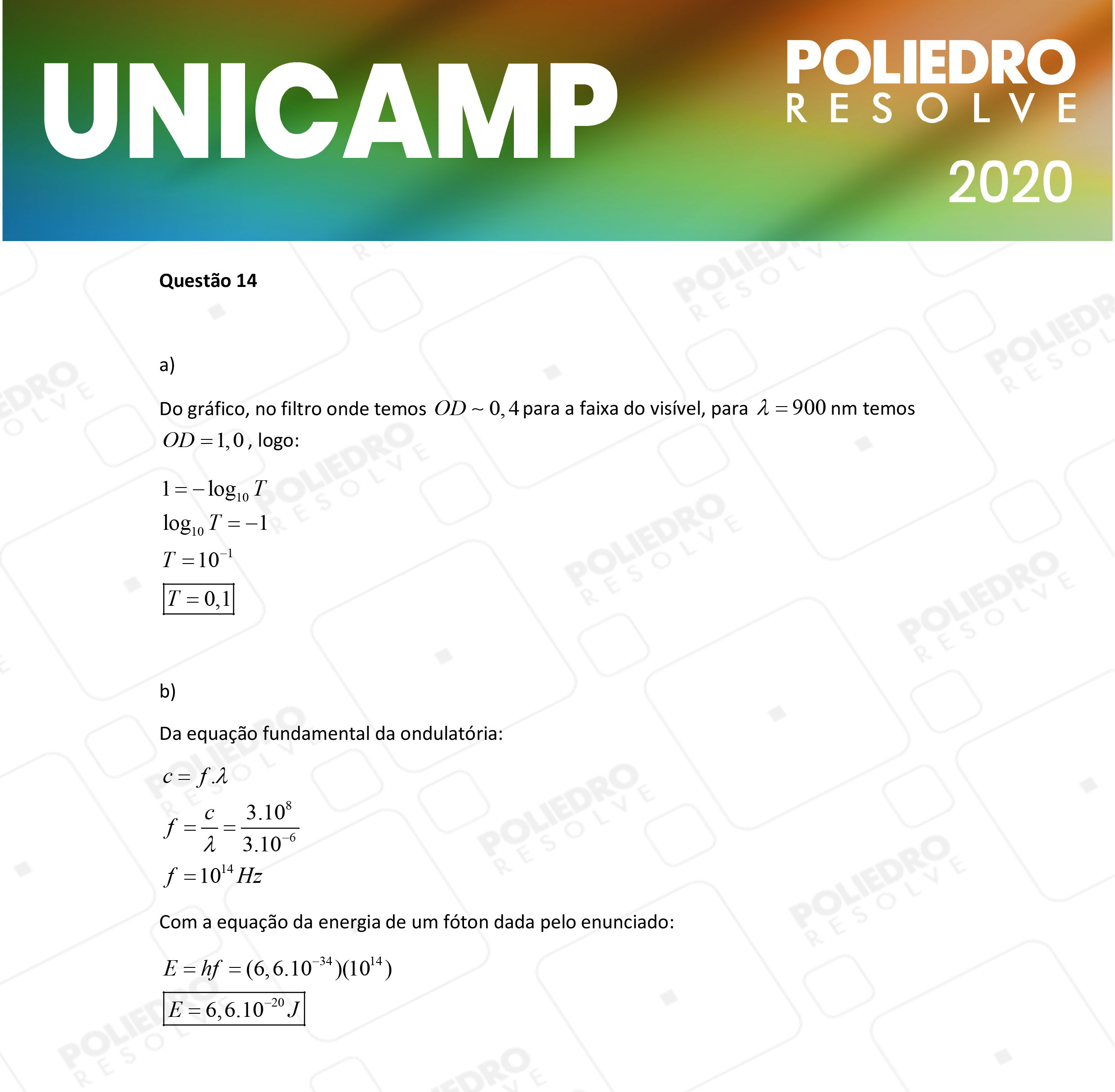 Dissertação 14 - 2ª Fase - 2º Dia - UNICAMP 2020