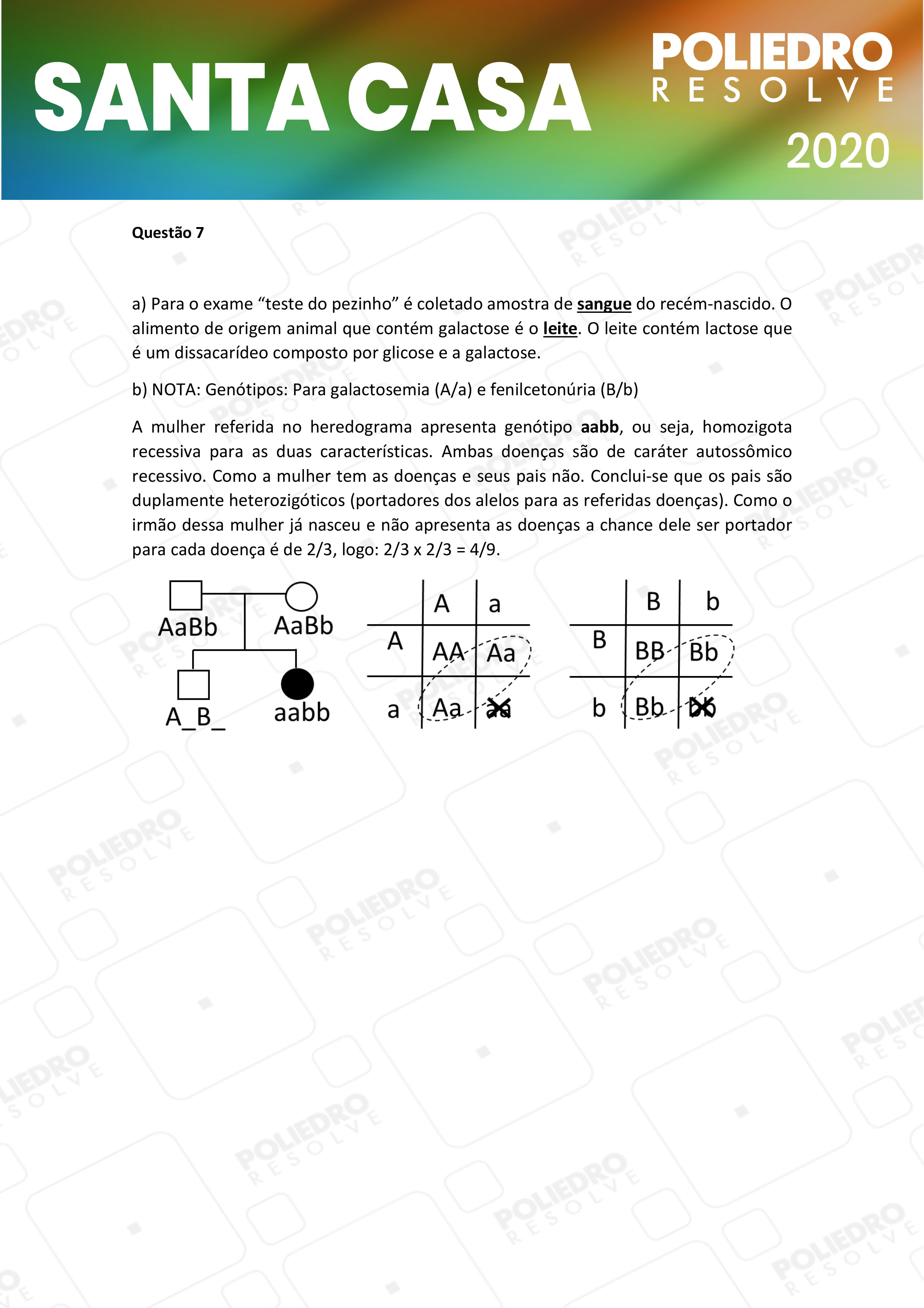 Dissertação 7 - 1º Dia - SANTA CASA 2020