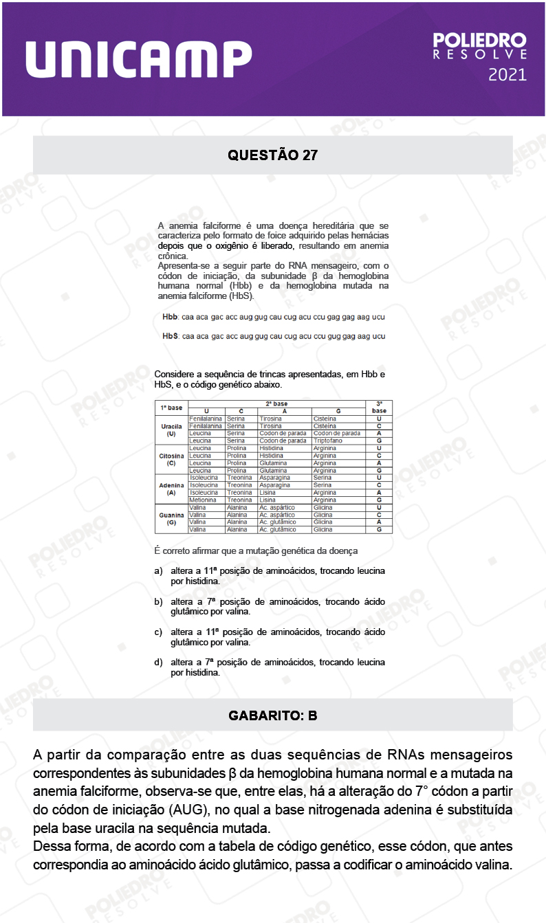 Questão 27 - 1ª Fase - 2º Dia - Q e Z - UNICAMP 2021