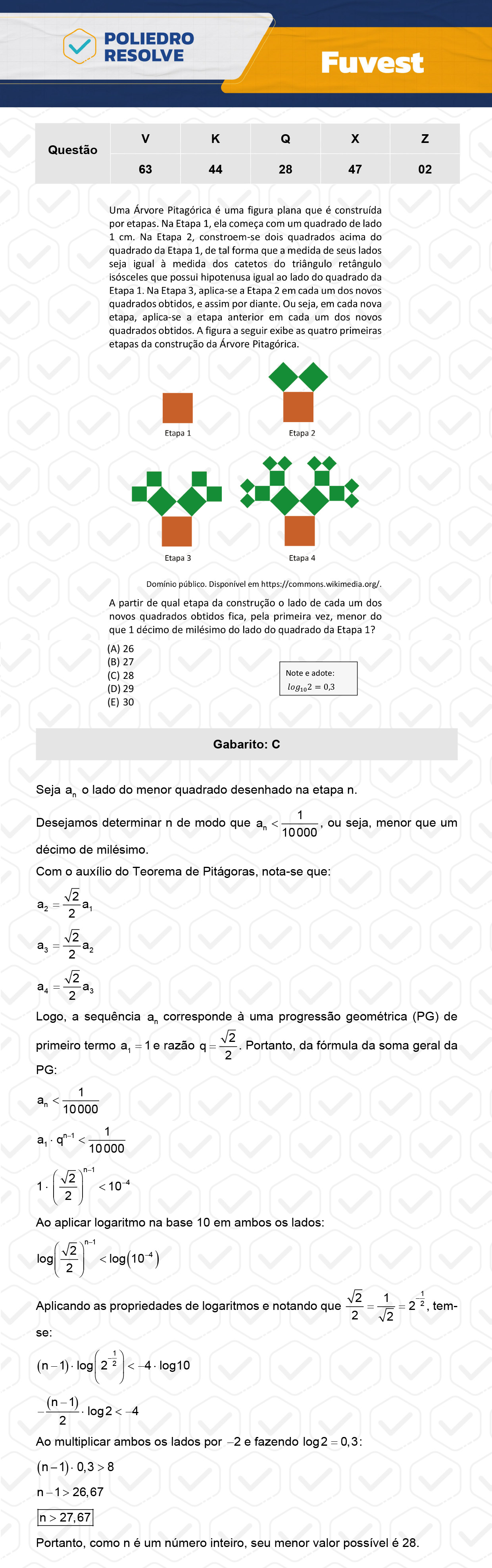 Questão 44 - 1ª Fase  - Prova K - FUVEST 2024