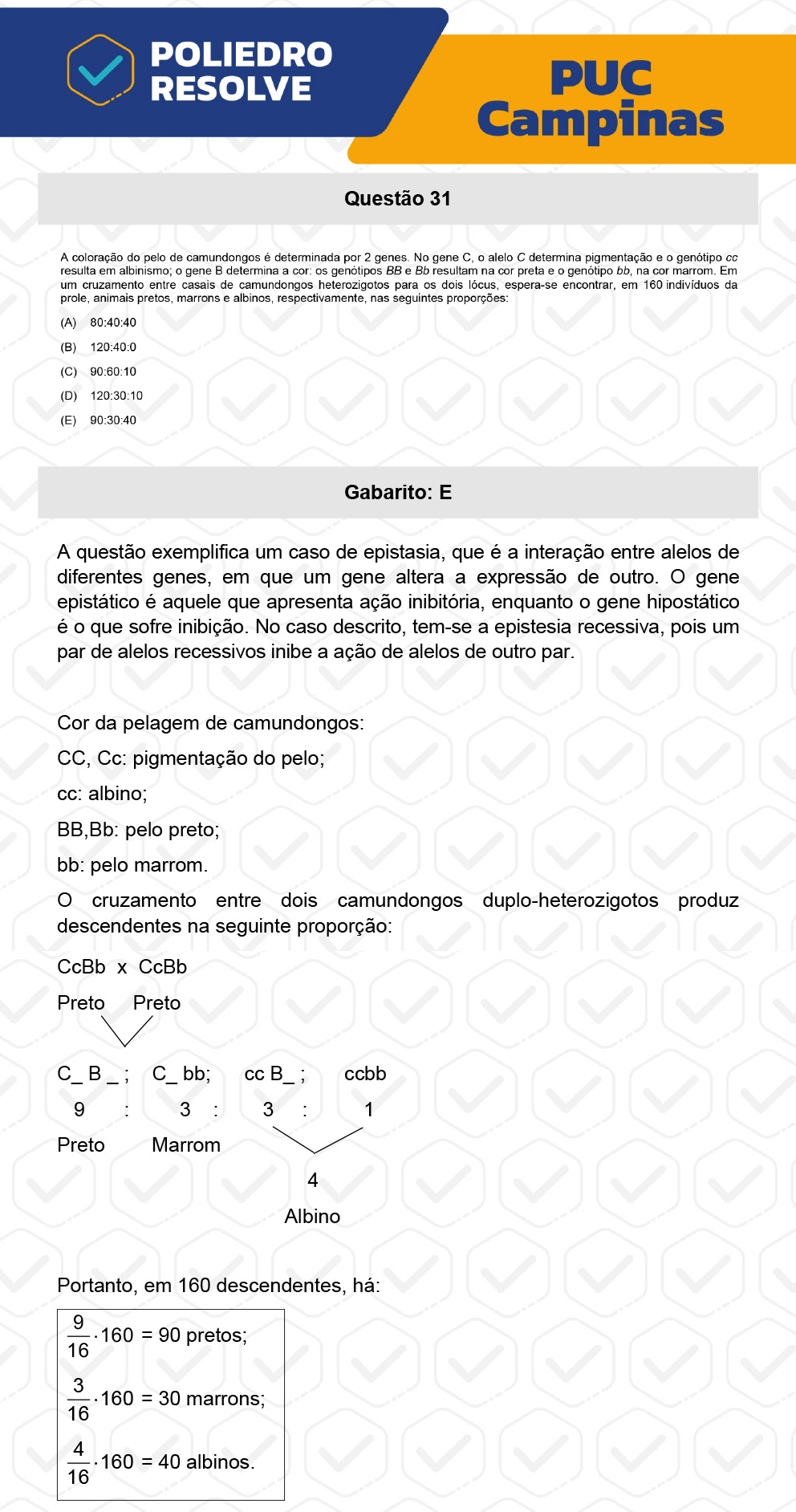 Questão 31 - Prova Geral e Medicina - PUC-Campinas 2023