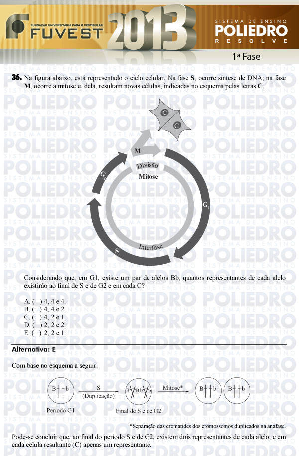Questão 36 - 1ª Fase - FUVEST 2013