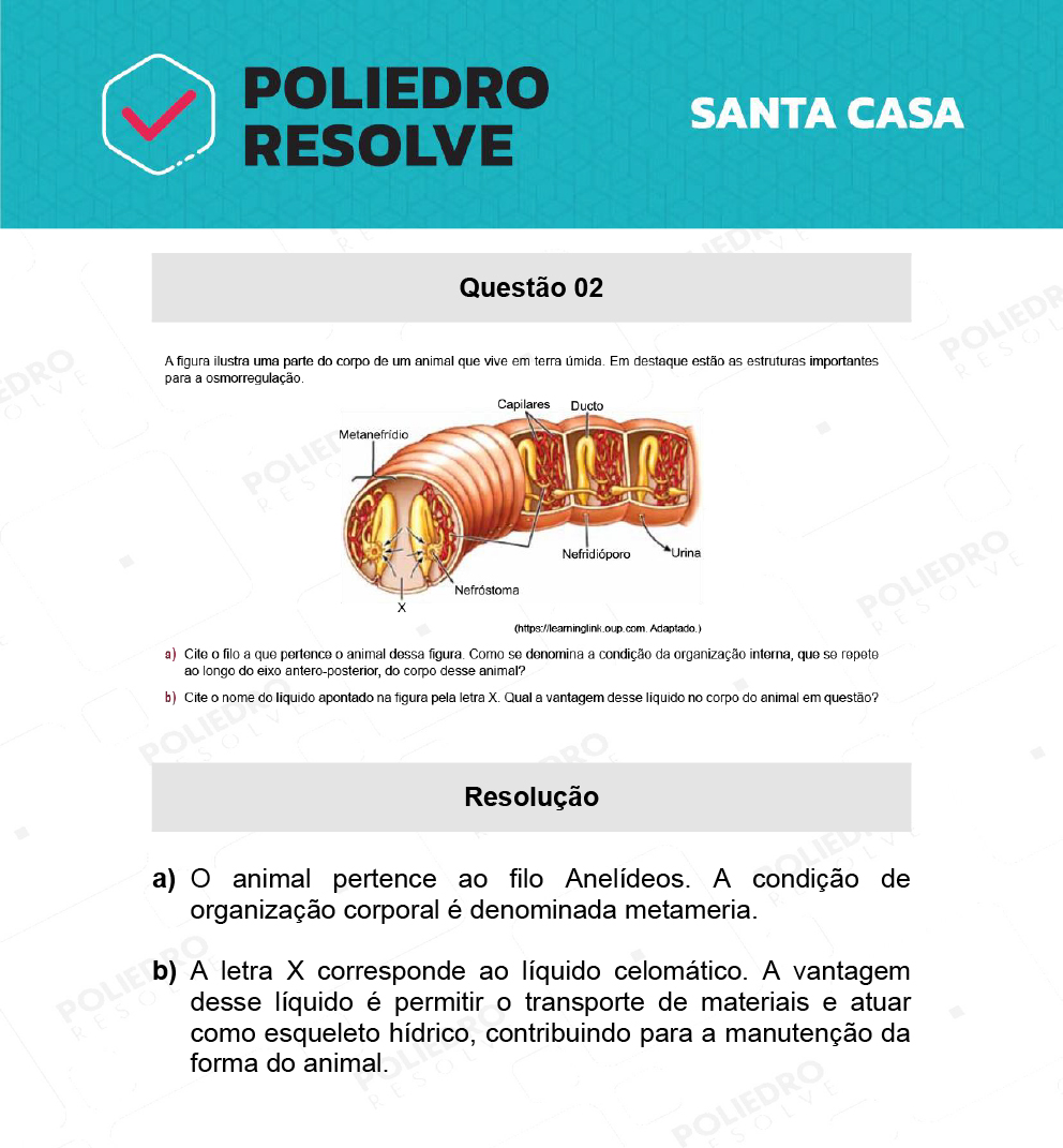 Dissertação 2 - 2º Dia - SANTA CASA 2022