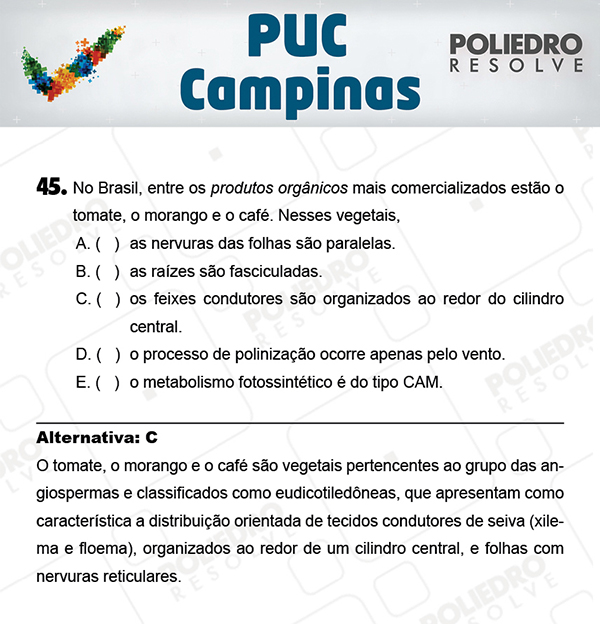 Questão 45 - 1ª Fase - Prova Verde - PUC-Campinas 2018