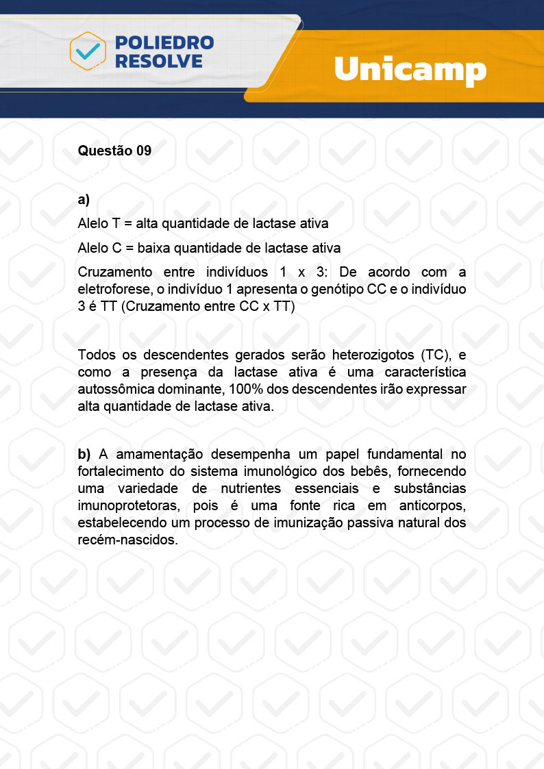 Dissertação 9 - 2ª Fase - 2º Dia - UNICAMP 2024