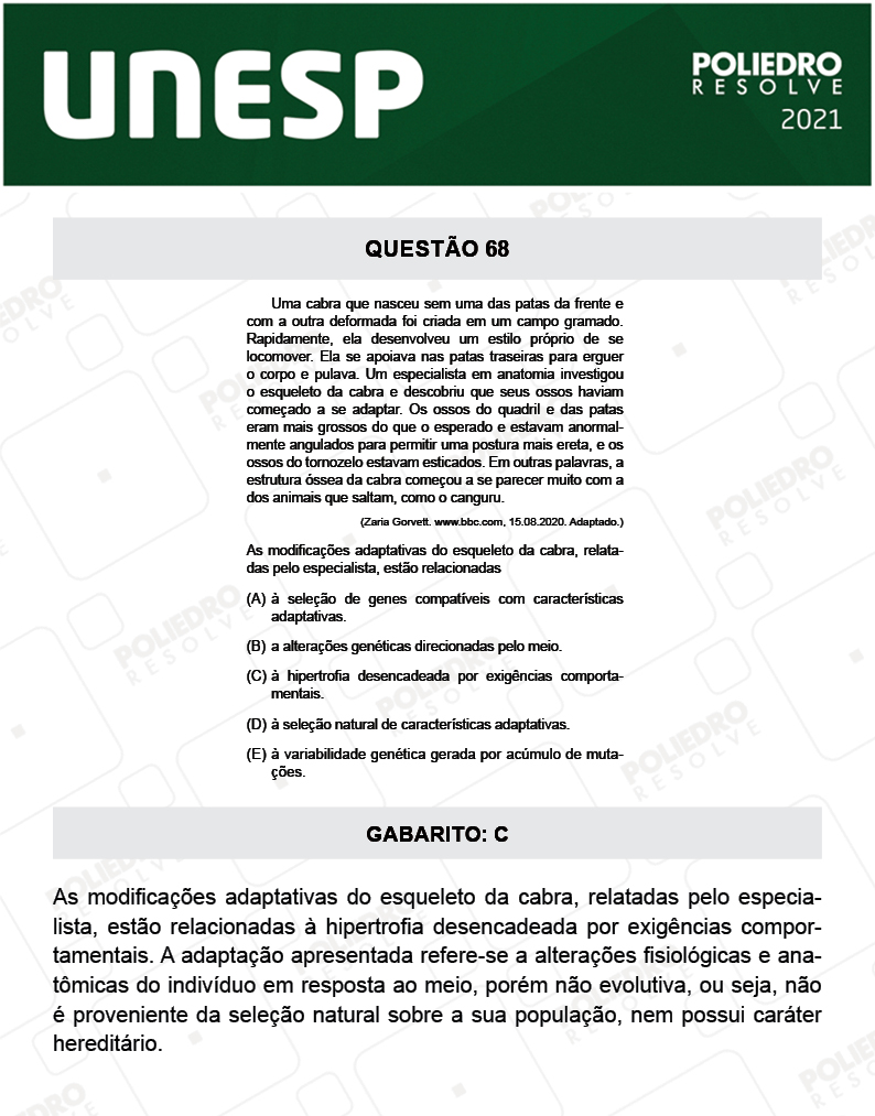 Questão 68 - 1ª Fase - 2º Dia - UNESP 2021