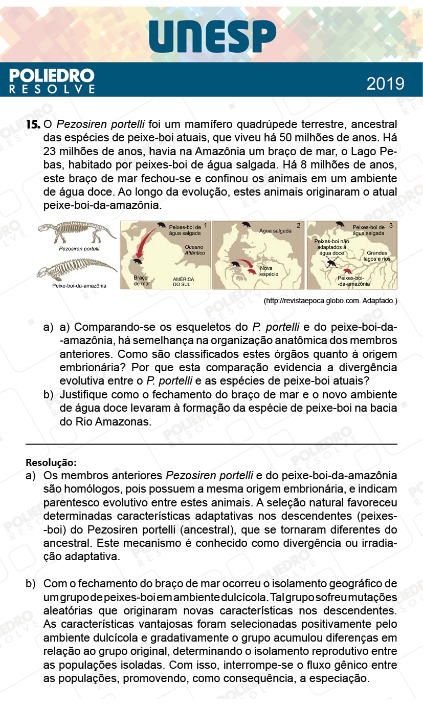 Dissertação 15 - 2ª Fase - 1º Dia - UNESP 2019