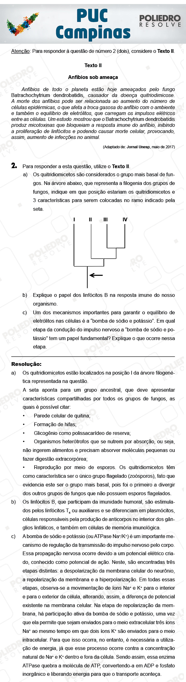 Dissertação 2 - 2ª Fase - PUC-Campinas 2018