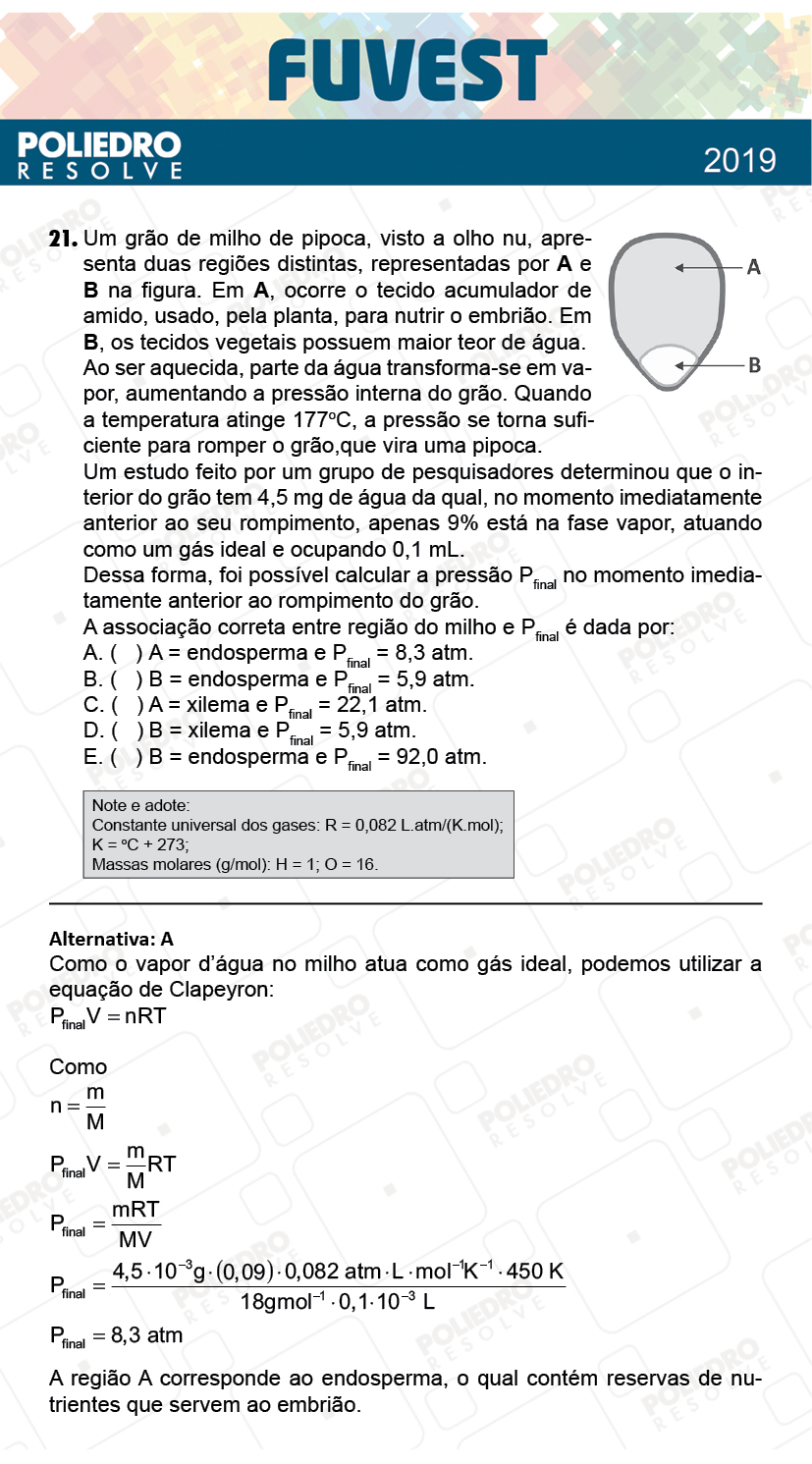 Questão 21 - 1ª Fase - Prova Q - FUVEST 2019