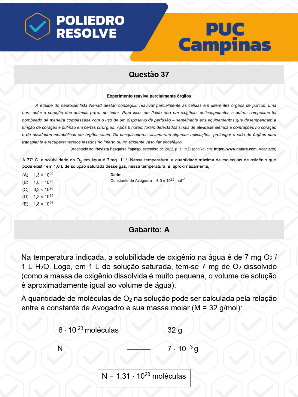 Questão 37 - Prova Geral e Medicina - PUC-Campinas 2023