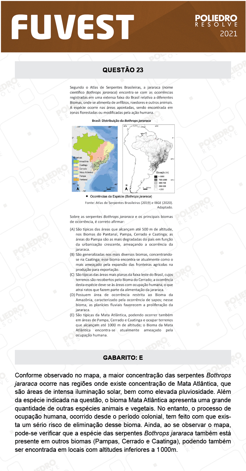 Questão 23 - 1ª Fase - FUVEST 2021