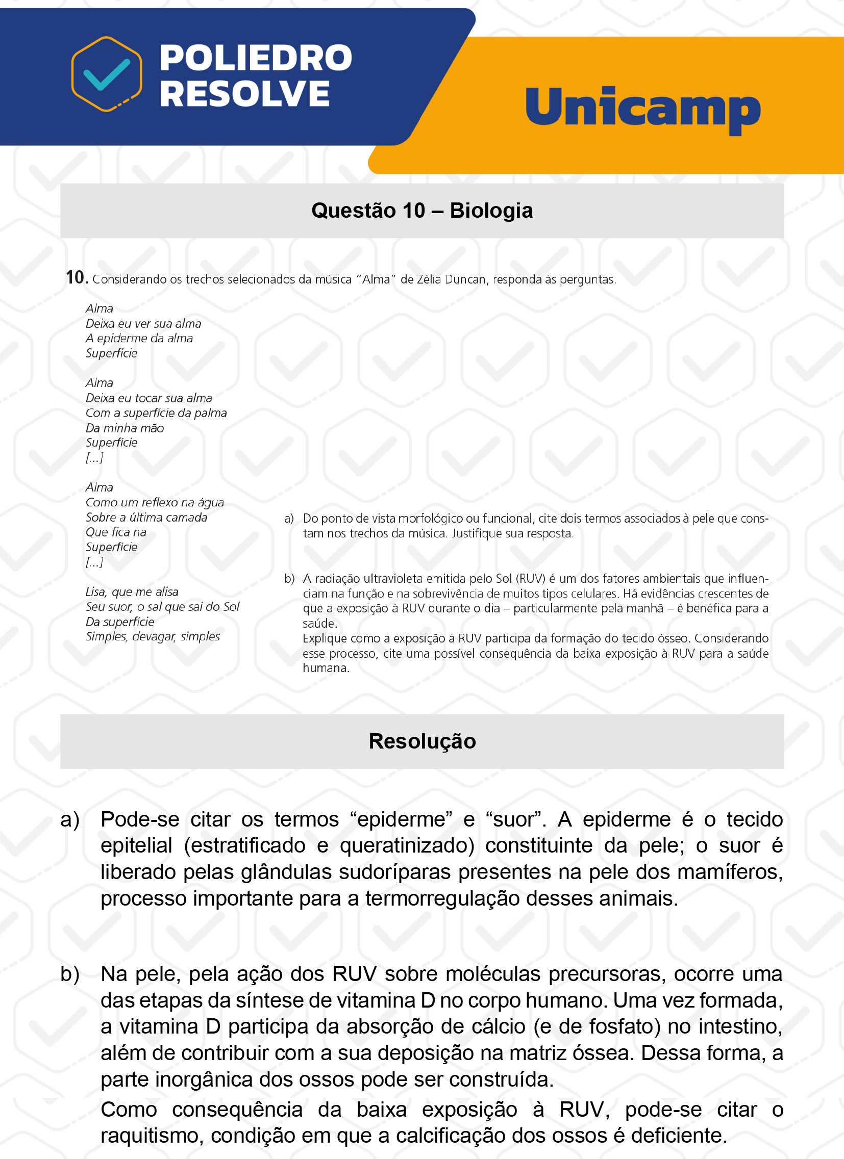 Dissertação 10 - 2ª Fase - 2º Dia - UNICAMP 2023