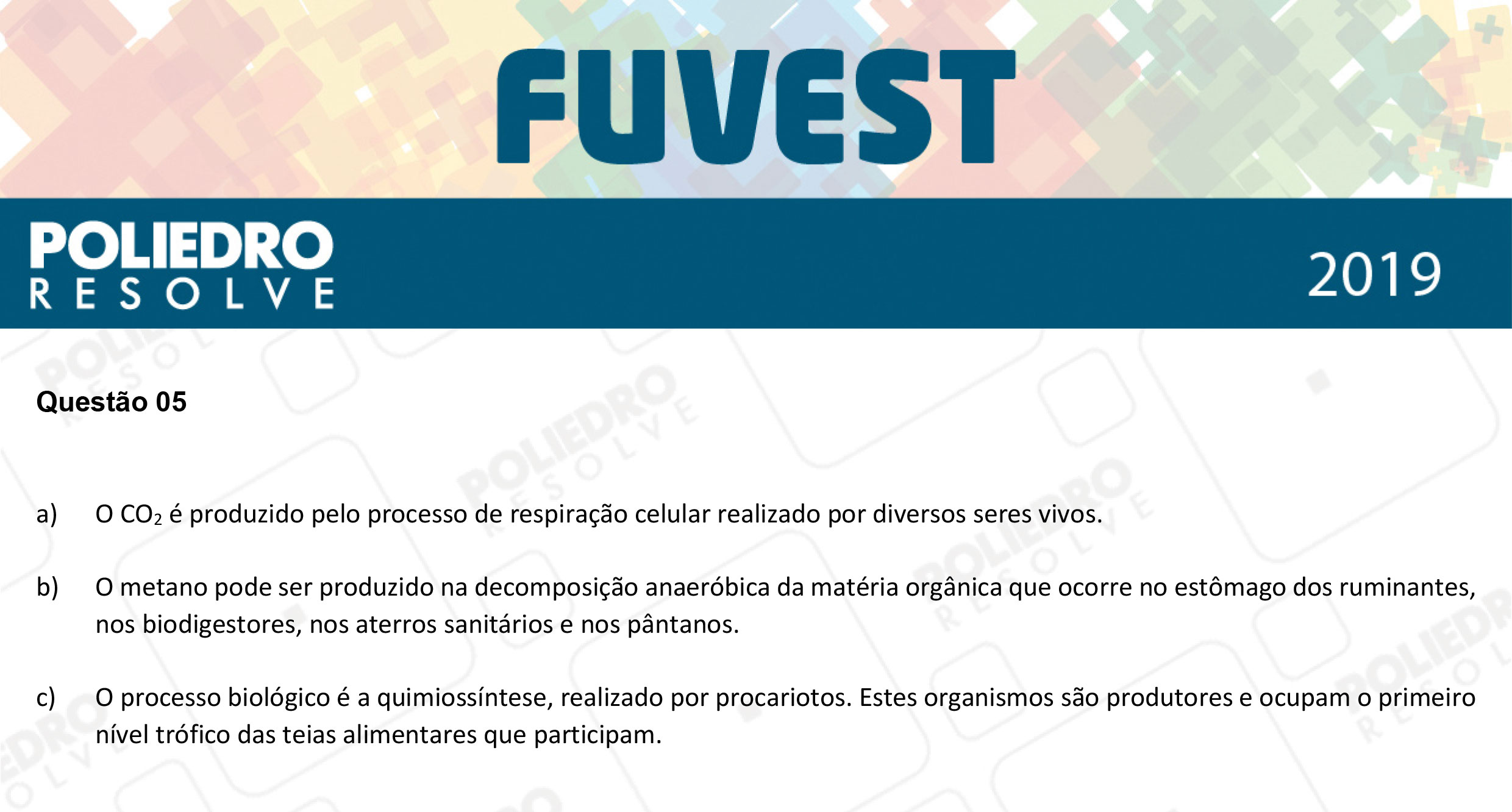 Dissertação 5 - 2ª Fase - 2º Dia - FUVEST 2019