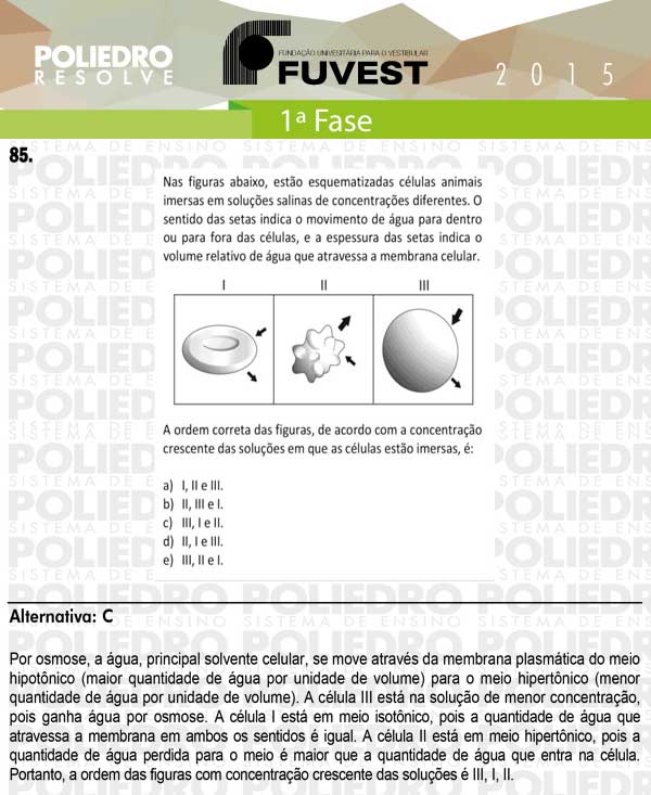 Questão 85 - 1ª Fase - FUVEST 2015