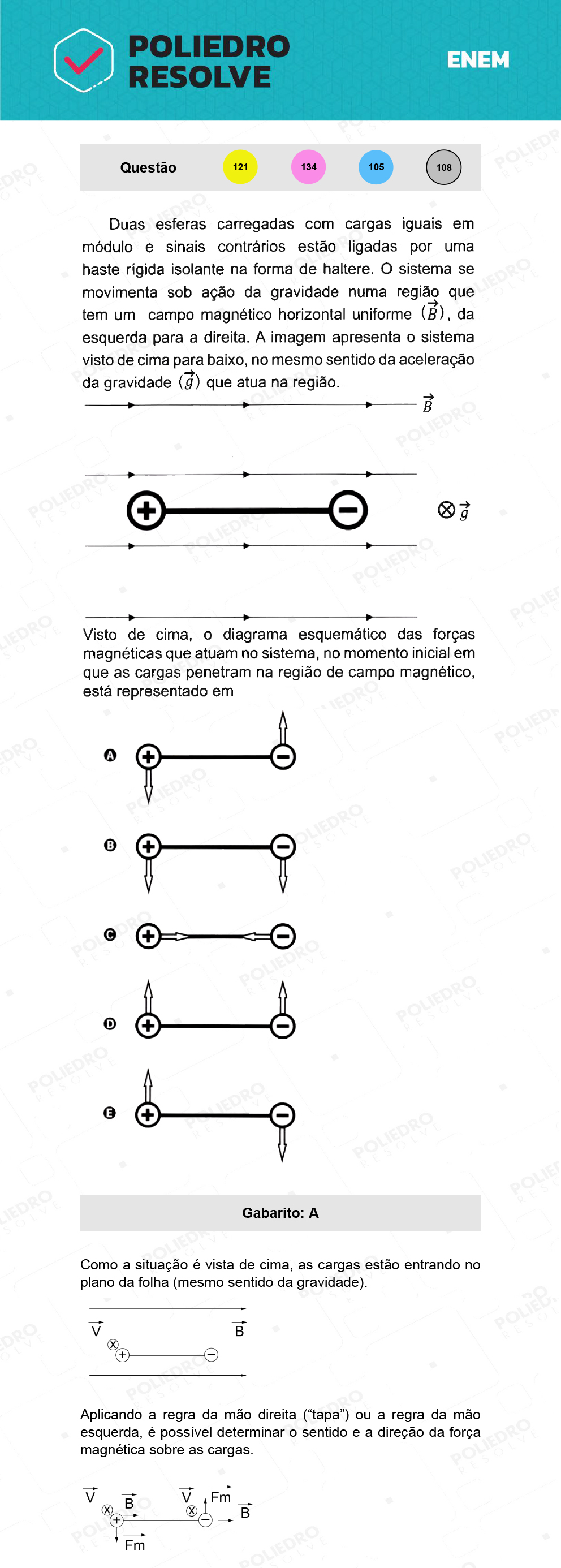 Questão 121 - 2º Dia - Prova Amarela - ENEM 2021