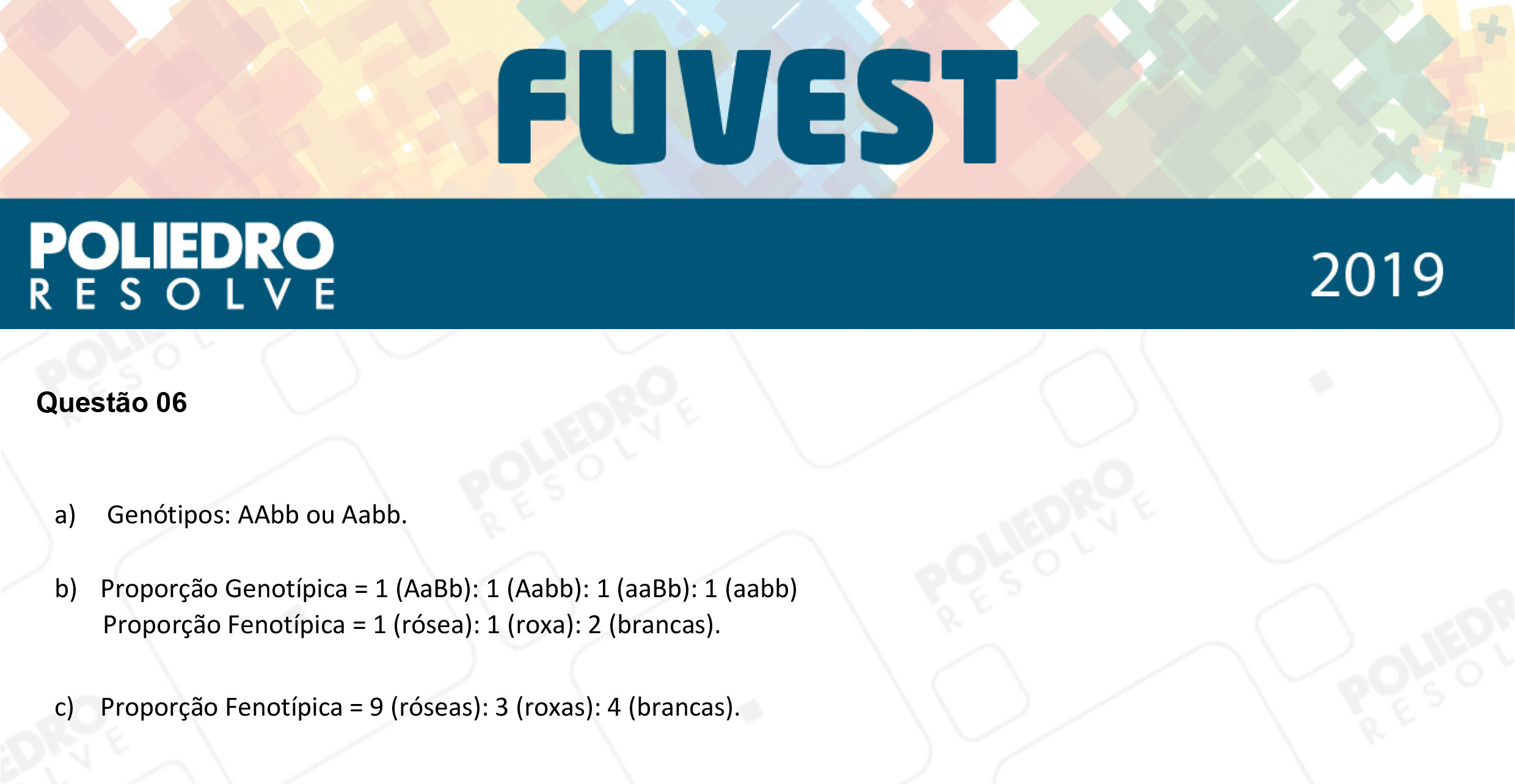 Dissertação 6 - 2ª Fase - 2º Dia - FUVEST 2019