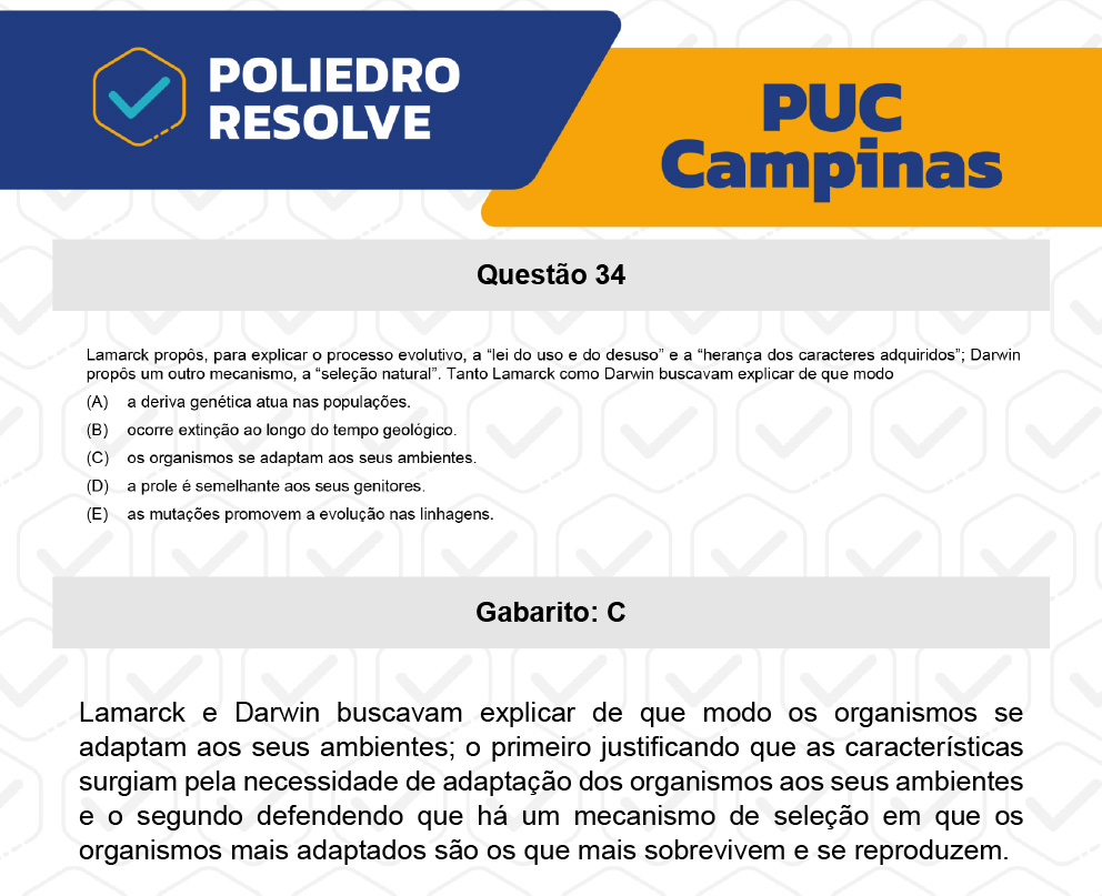 Questão 34 - Prova Geral e Medicina - PUC-Campinas 2023