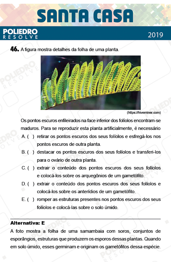 Questão 46 - 2º Dia - Objetivas - SANTA CASA 2019