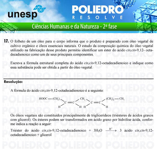 Dissertação 17 - 2ª Fase - UNESP 2011