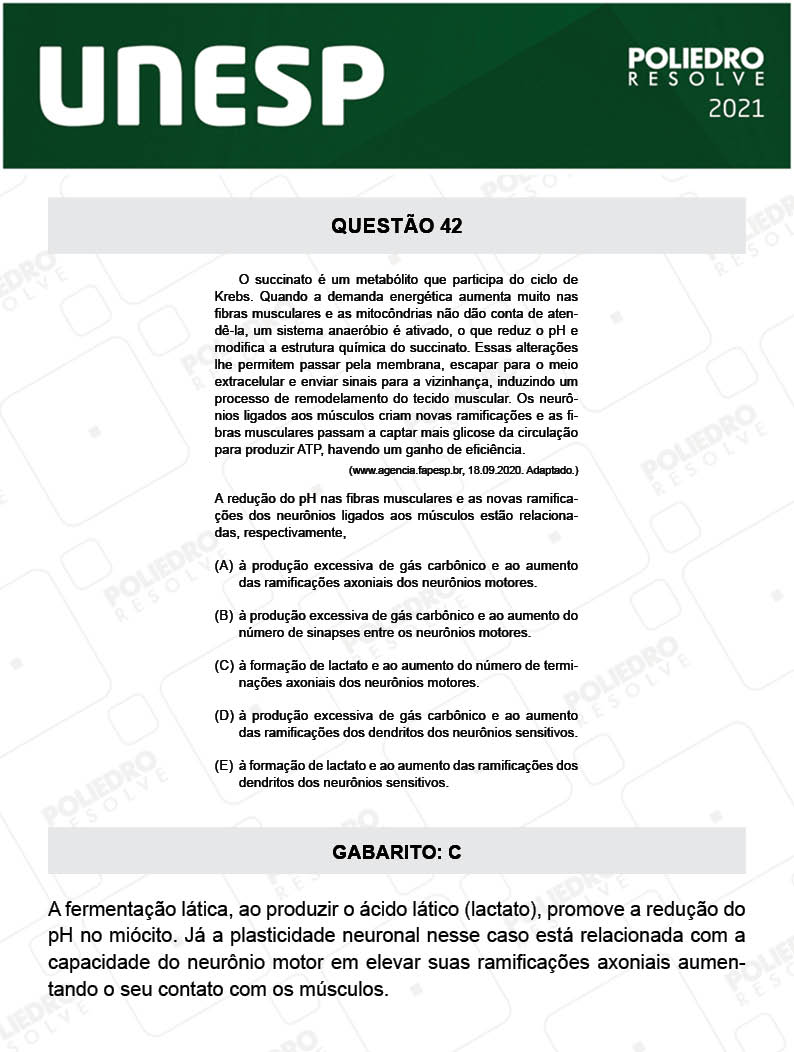 Questão 42 - 2ª Fase - UNESP 2021