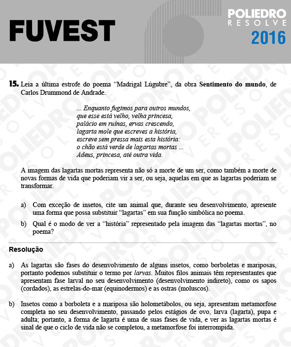 Dissertação 15 - 2ª Fase - 2º Dia - FUVEST 2016