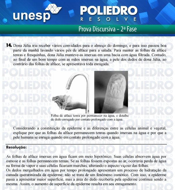 Dissertação 14 - 2ª Fase - UNESP 2012